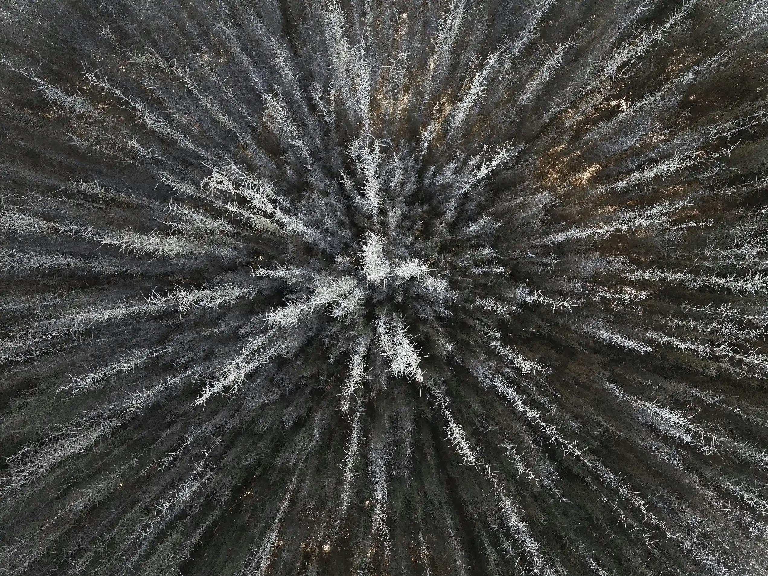 Sustainable luxury, shaped with purpose